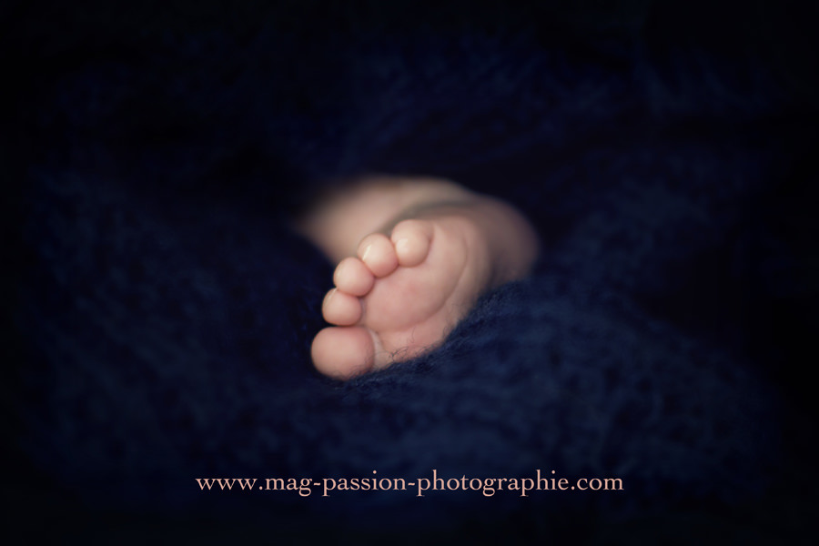 IMG_6005 as Smart Object-1